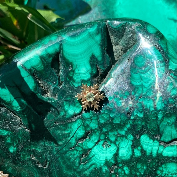 Bvla snowflake - Picture 2 of 3